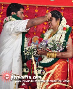 Raju Vidya Marriage Album Pala